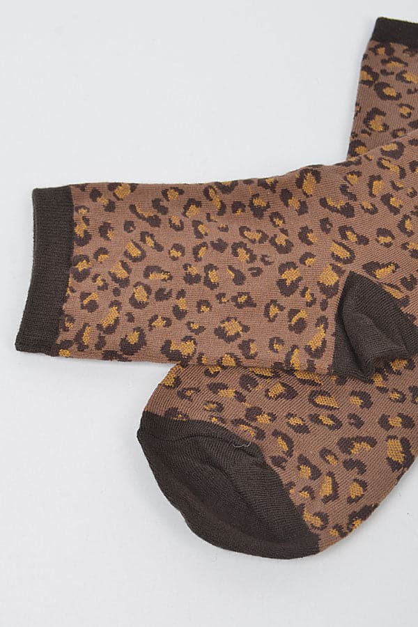 Pack of 6 Brown Leo Socks - Style 6258