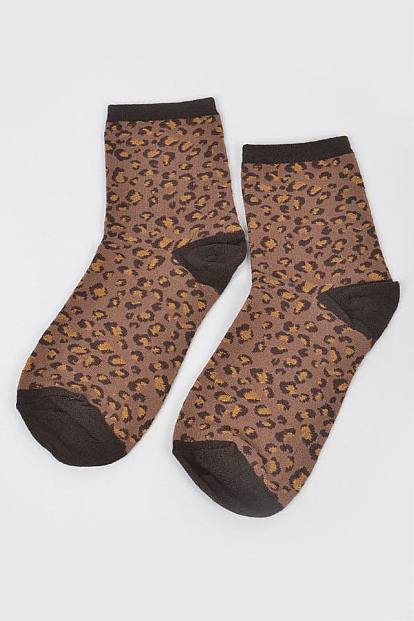 Pack of 6 Brown Leo Socks - Style 6258